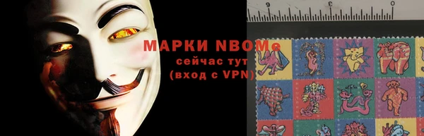 2c-b Инсар