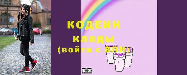 2c-b Инсар