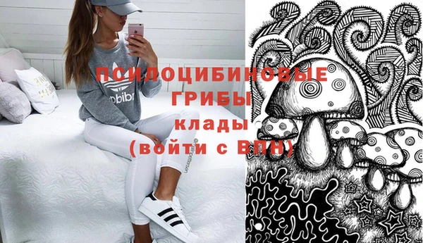 2c-b Инсар