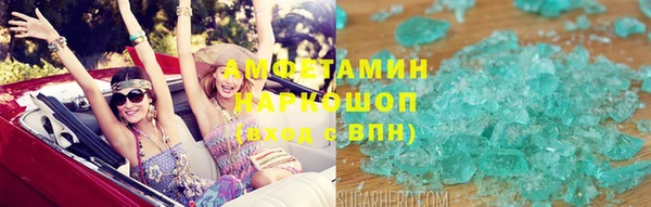 2c-b Инсар