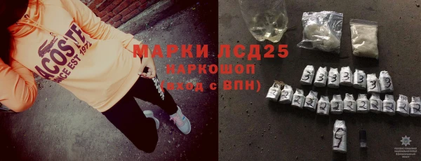 2c-b Инсар